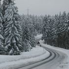 ...schlängelnd durch den Winterwald