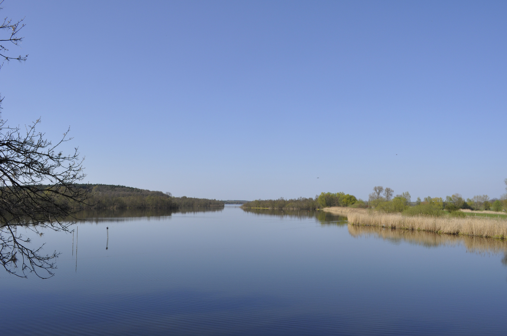 Schlänitzsee - im Frühling 2010