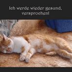 Schöne grüße an dich Schöne grüße an dich