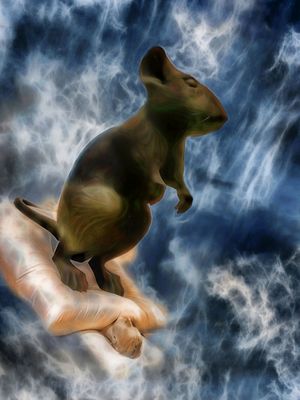 Schlafen ist überbewertet....