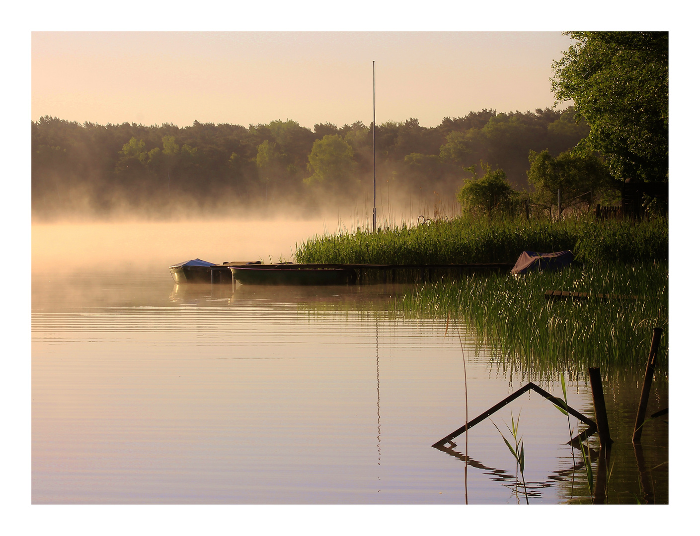 Schlafende Boote in der Morgensonne