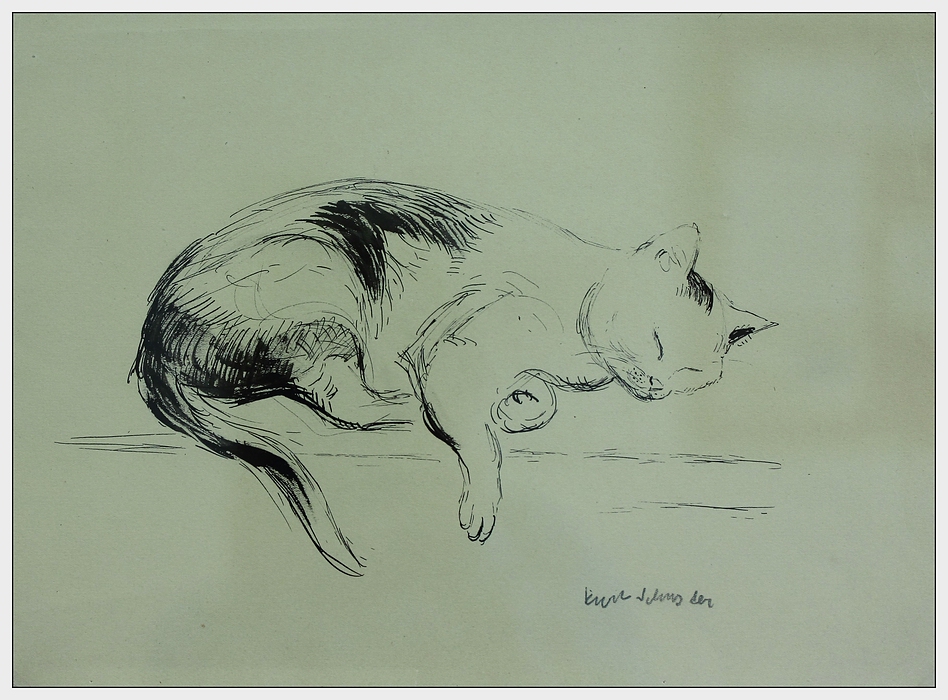 Bild Schlafende Katze: A Comprehensive Guide to the Value and Urgency of Drawing