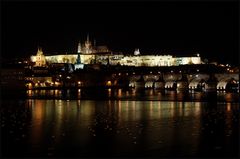 Schlafende Möwen in Prag