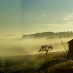 Schlafende Natur