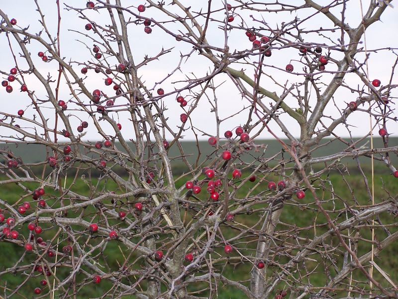 schlafende Natur