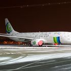 Schlafende Transavia