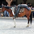 schlafender Cowboy in Pullmann City