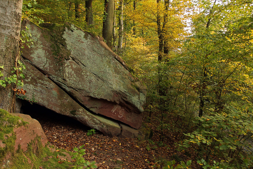 Schlafender Steindinosaurier im Herbstwald