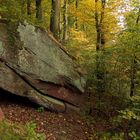 Schlafender Steindinosaurier im Herbstwald