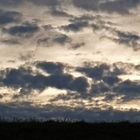 Schlafendes Schaf auf dem Deich und wachender Vogel auf der Laterne