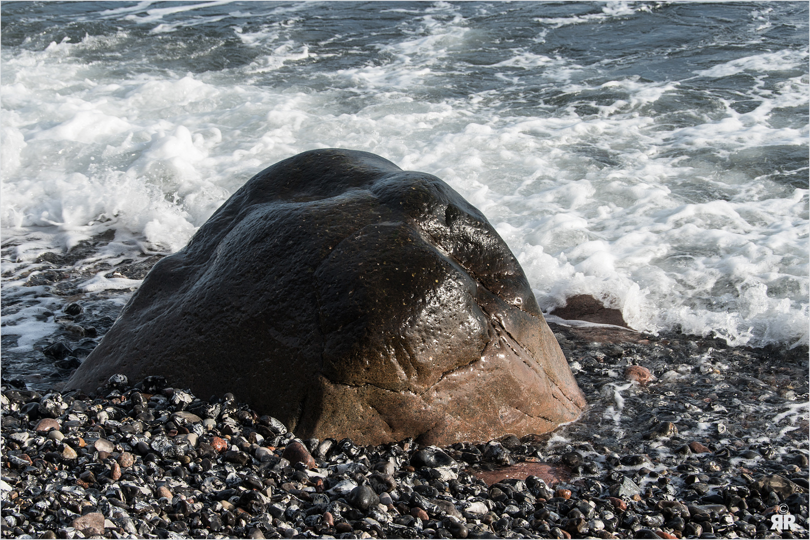 Schlafener See-Elefant …