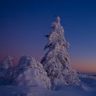 Schlafenszeit für Schneegespenster