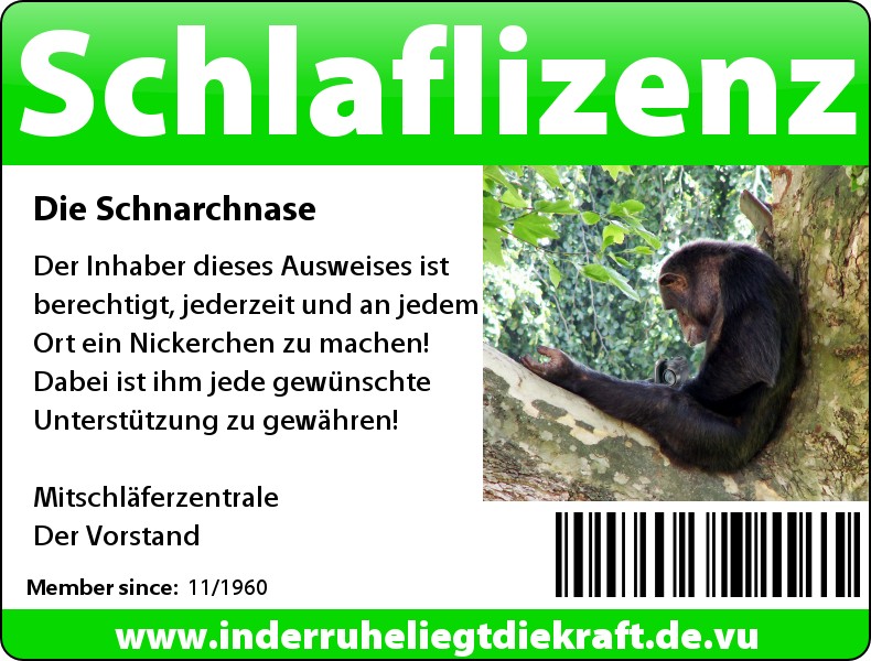 Schlaflizenz