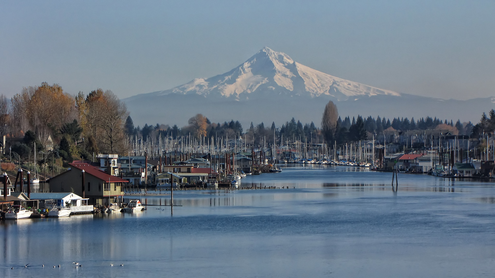 Schlaflos in der Nähe von Seattle