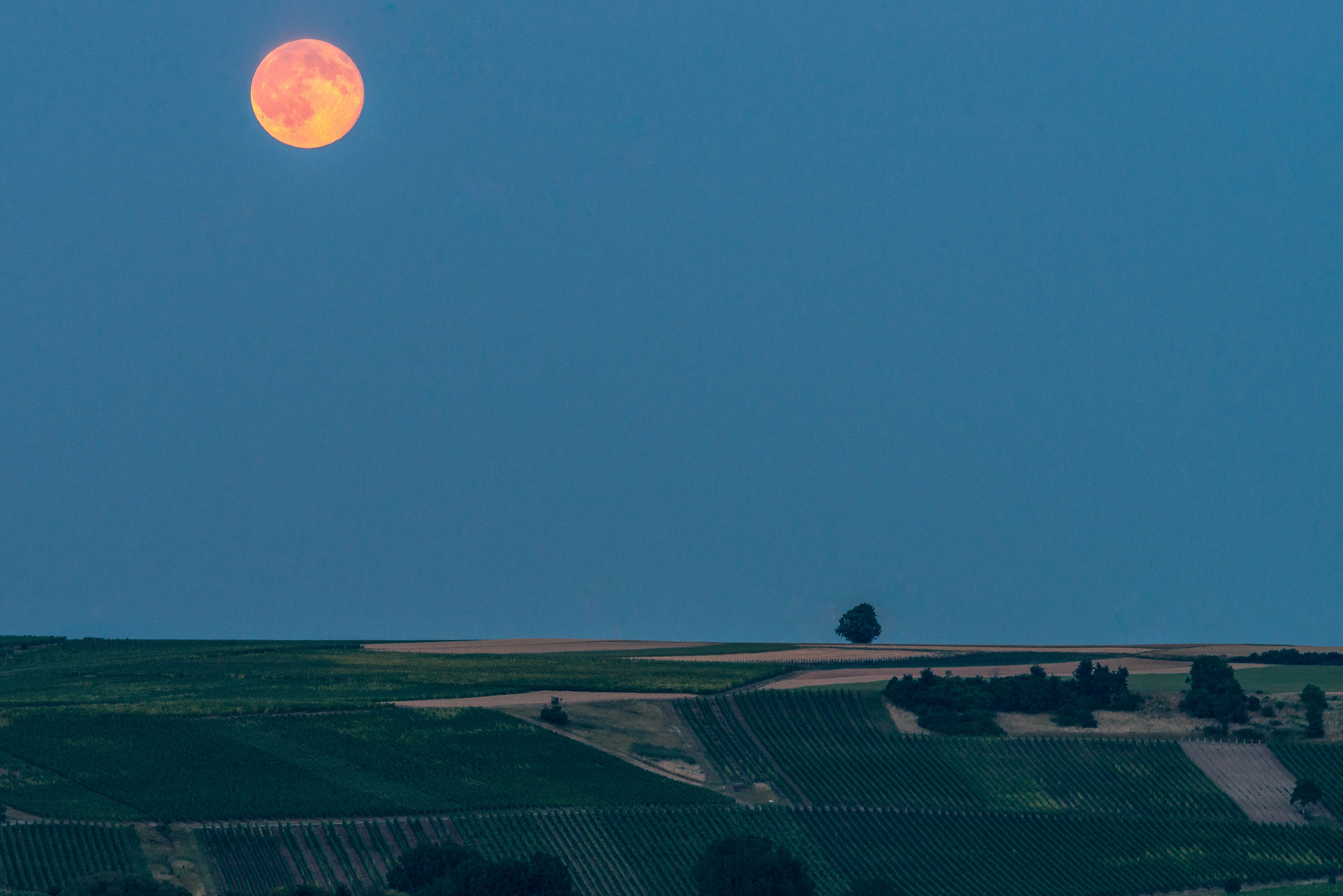 Schlaflos in Rheinhessen