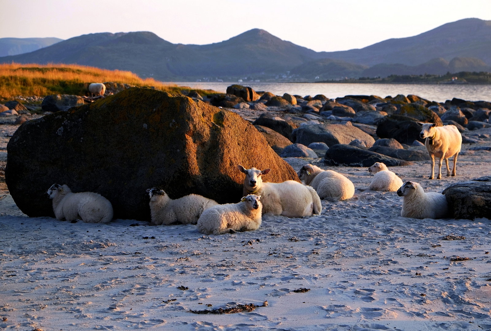 Sch(l)afplatz am Strand