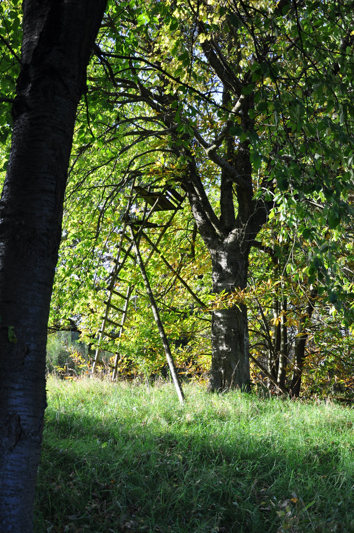 Schlafplatz der Jäger