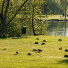 Schlafplatz im Stadtpark 02