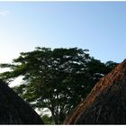 Schlafplatz mit schönem Ausblick- Chichen Itza