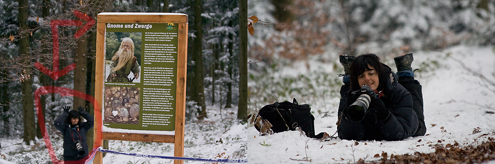 Schlagzeile: Im Dobeler Wald wurden Gnome und Zwerge gesichtet!!!