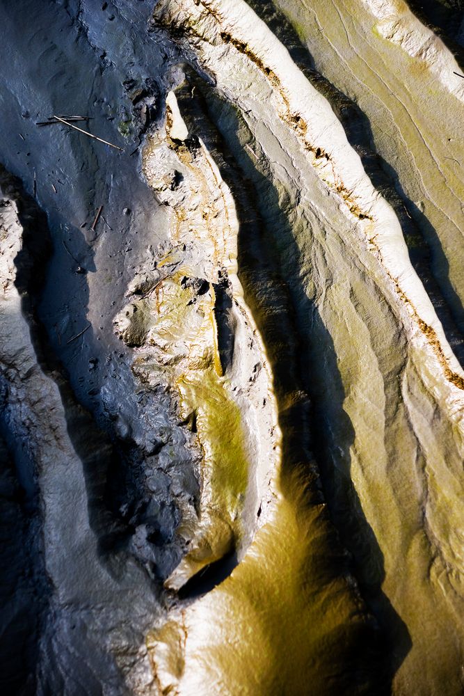 schlamm-Landschaft / Modderlandschap 2