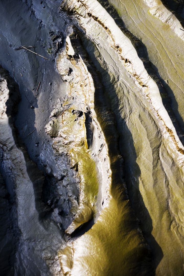 schlamm-Landschaft / Modderlandschap 2