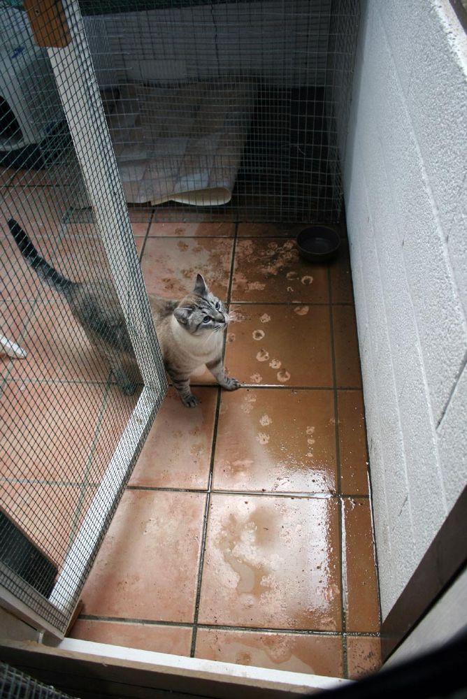 schlammiges Wasser im Fiv-zimmer