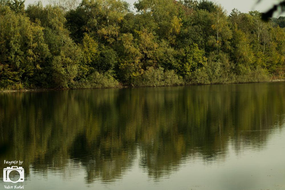Schlammteich in Velbert Foto & Bild landschaft, bach, fluss & see