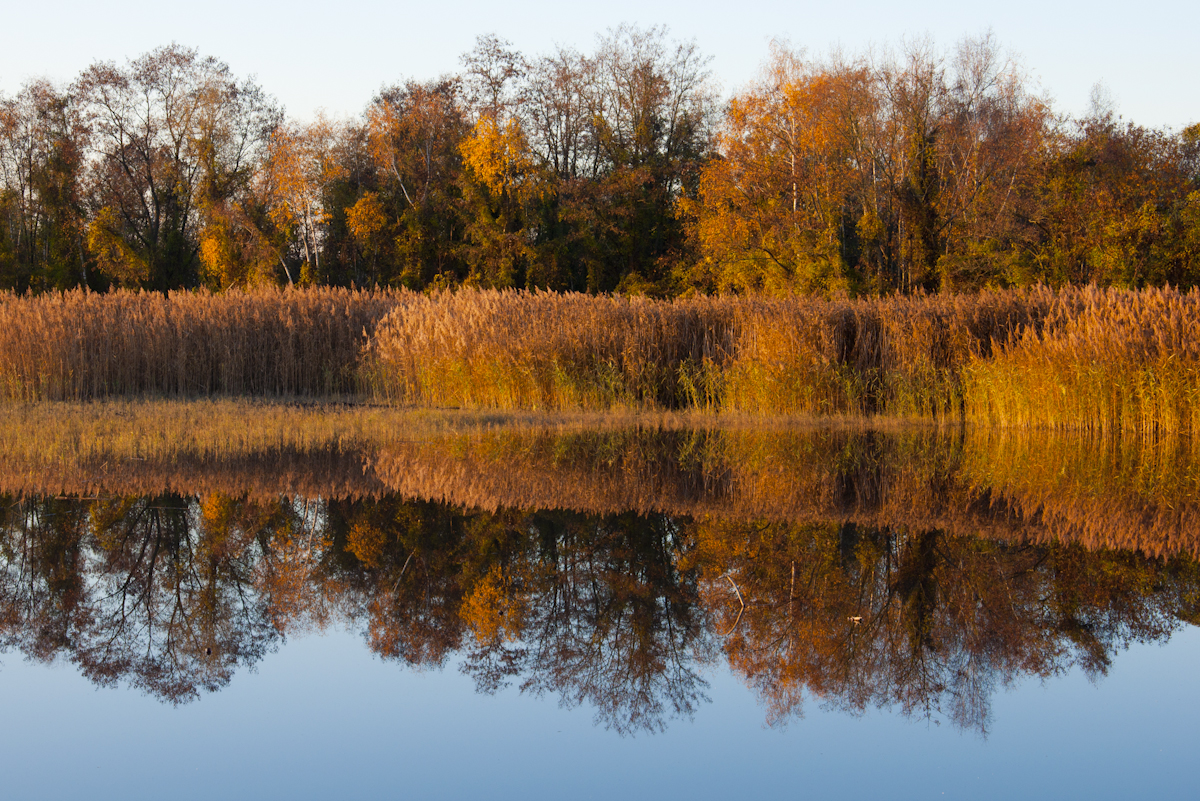 Schlammweiher