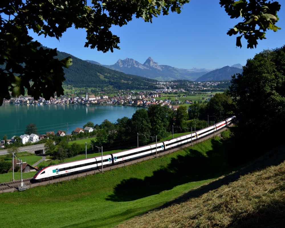 Schlange am Zugersee