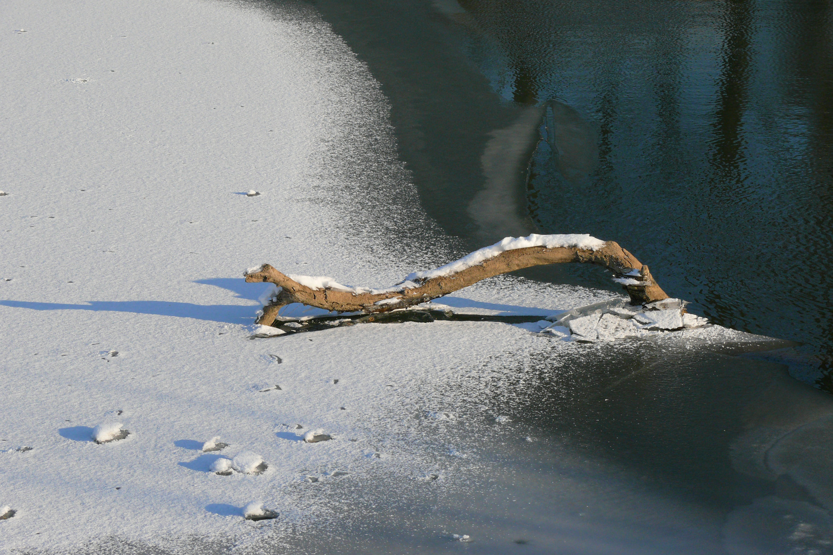 Schlange auf dem Eis