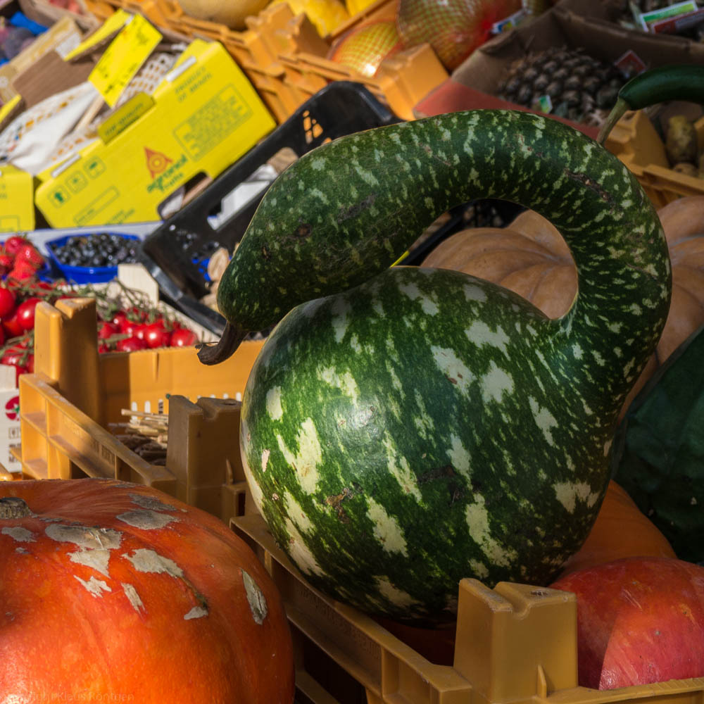 Schlange auf dem Marktstand