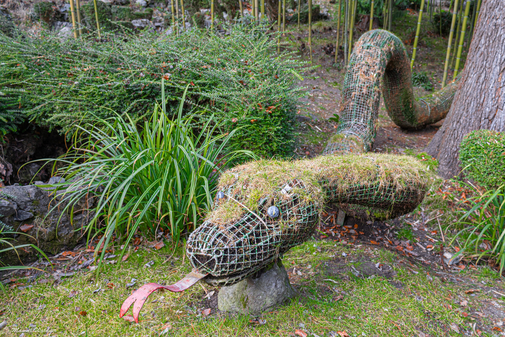 Schlange im Garten der Tiere