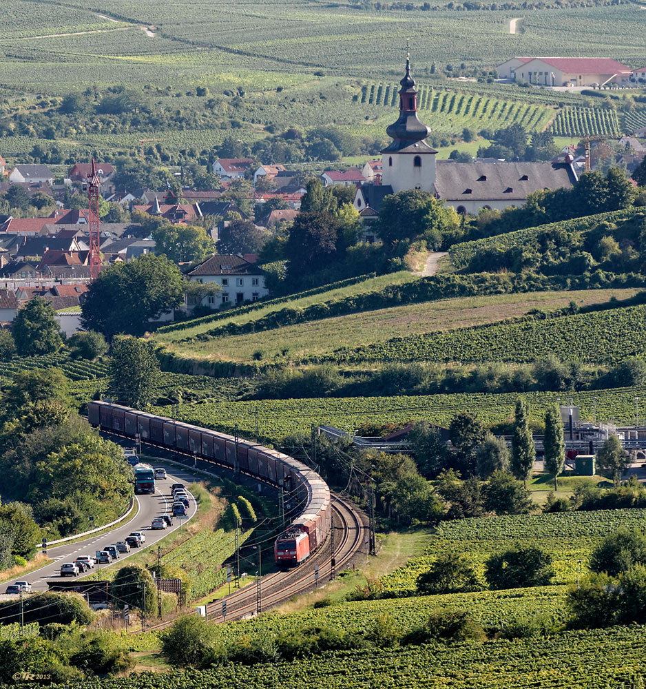 Schlangen