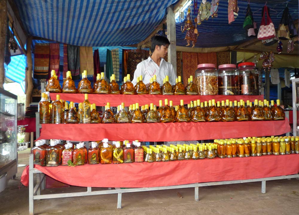 Schlangen in der Flasche