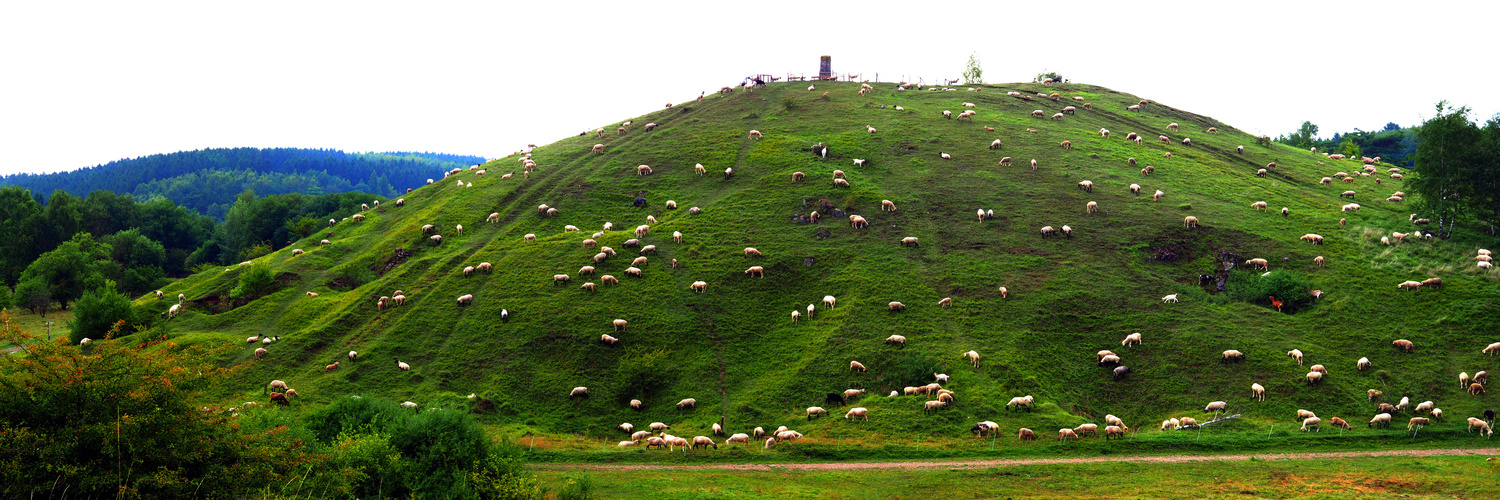 Schlangenberg 