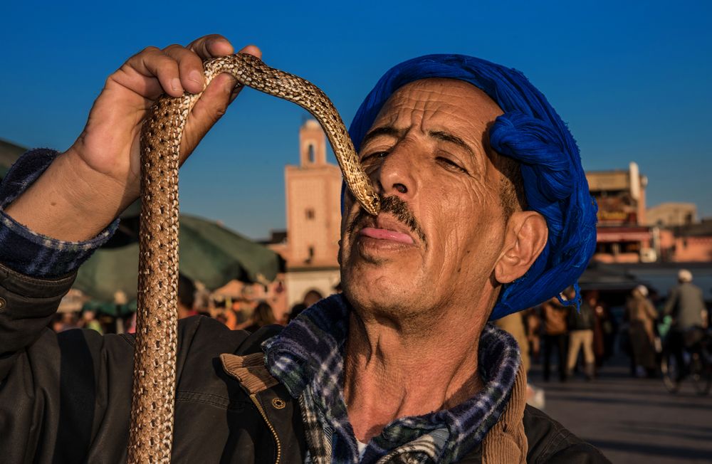 Schlangenbeschwörer Foto & Bild | africa, morocco, north africa Bilder auf fotocommunity