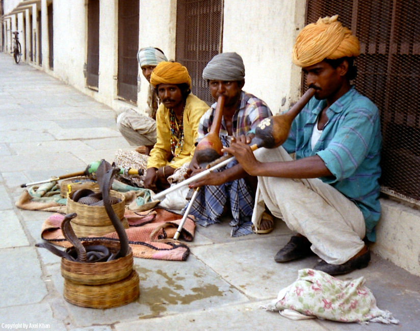 Schlangenbeschwörer Foto & Bild | asia, india, south asia Bilder auf fotocommunity