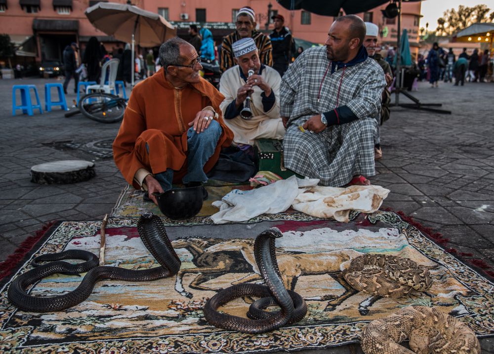 Schlangenbeschwörer auf demDjemaa El Fna