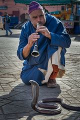 Schlangenbeschwörer II - Marrakesch/Marokko