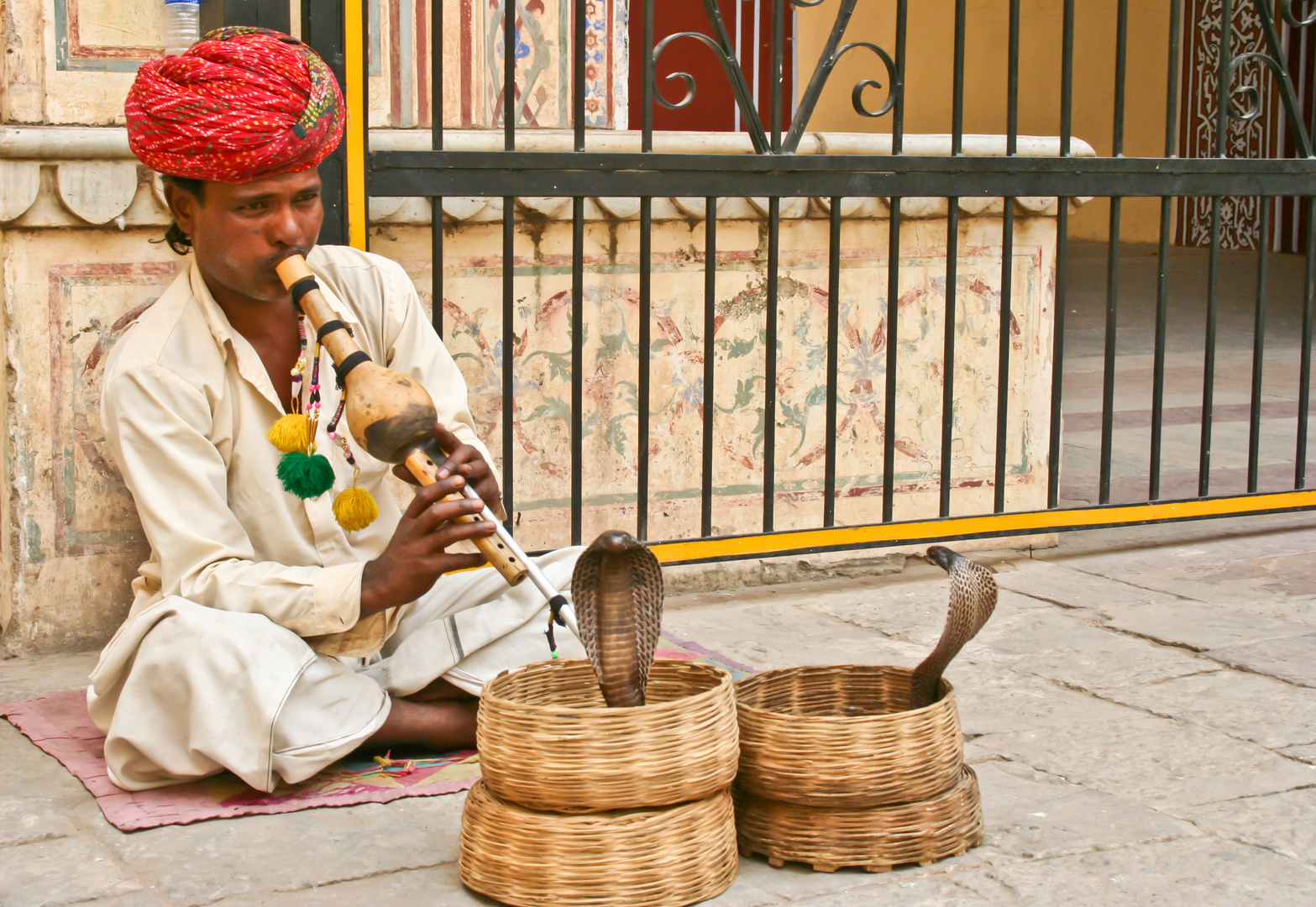 Schlangenbeschwörer in Jaipur