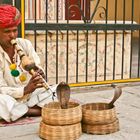 Schlangenbeschwörer in Jaipur