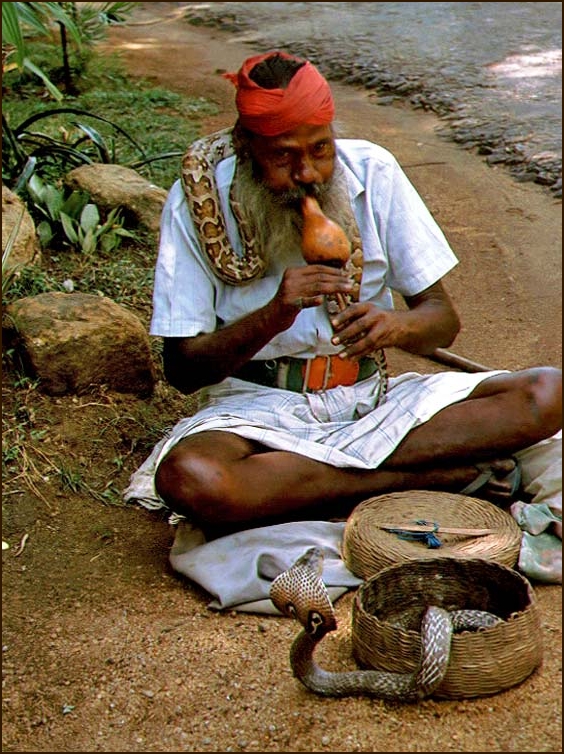 Schlangenbeschwörer in Sri Lanka