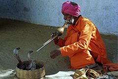 Schlangenbeschwörer. Pushkar, Rajasthan