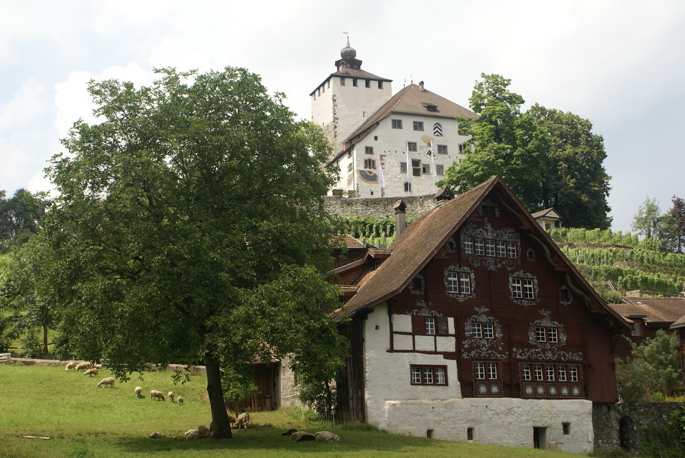 Schlangenhaus in Werdenberg