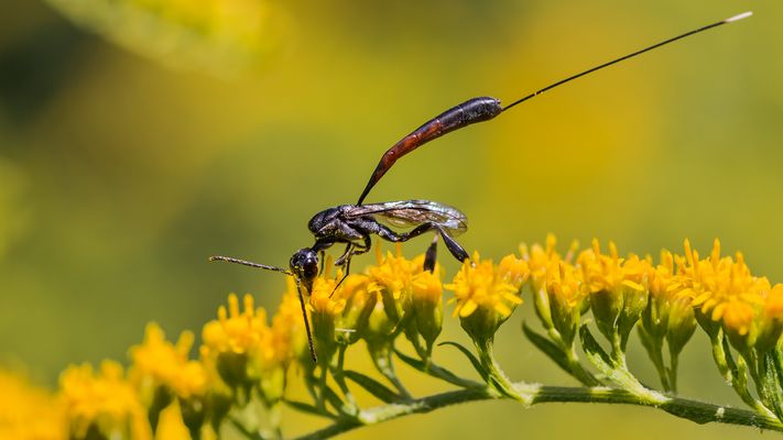 schlank und trotzdem formatfüllend