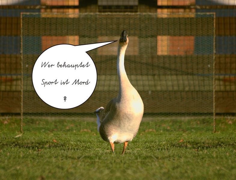 Schlanke Gans :-)