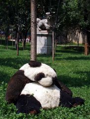 Schlapper Panda