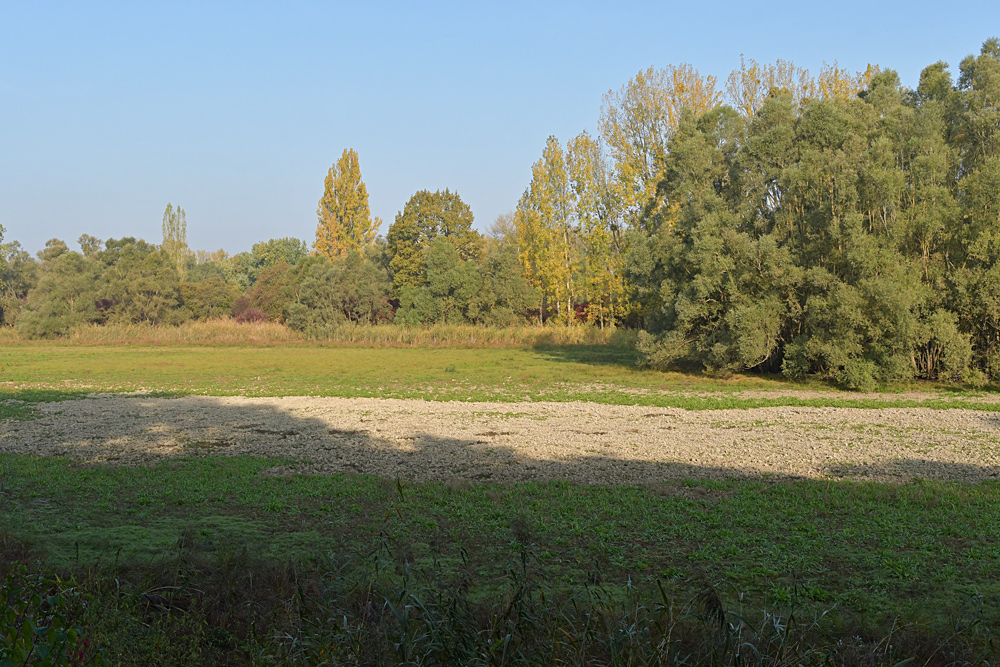 Schlappeswörth: Auch hier kein Wasser mehr