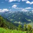 Schlappoltkopf bei Oberstdorf